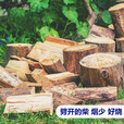 尚彡火柴火木柴露营篝火木材超耐烧壁炉硬木取暖户外烧烤干木柴真火木头 5.5斤长31-35厘米篝火壁炉干柴