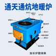 金苛锅炉家用取暖炉通天通炕燃煤新型取暖炉柴煤两用农村地暖水暖气炉 新型通天通炕锅炉 200型