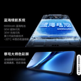 vivo X200Pro 蓝晶x天玑9400芯片蔡司2亿APO超级长焦 蓝图影像芯片V3+ OriginOS5 AI手机 白月光16GB+1TB 官方标配+90天碎屏保