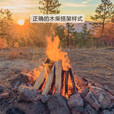 尚彡火柴火木柴露营篝火木材超耐烧壁炉硬木取暖户外烧烤干木柴真火木头 5.5斤长31-35厘米篝火壁炉干柴