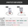 步林（BULin）户外气灯便携帐篷露营地汽灯野餐氛围照明取暖燃气灯 F2汽灯+灯芯*3（默认发红色）