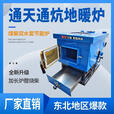 锅炉家用采暖炉通天通炕燃煤新型取暖炉柴煤两用农村地暖水暖气炉 新型通天通炕锅炉80型