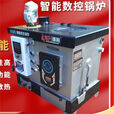 锅炉数控家用煤柴反烧农村电通新型炊事取暖炉暖气片地暖养殖锅炉 【300#/七次反烧数控锅炉】