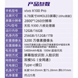 vivoX100 Pro（展机）蔡司APO长焦 蓝晶×天玑9300影像旗舰手机 赠送运费险详询客服 星迹蓝 16GB+256GB