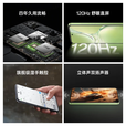 OPPOK12x 5500mAh超长续航 80W闪充 轻薄机身120Hz舒眼直屏生展机神机 K12x凝光绿 12GB+512GB 单机+第三方充电器+店保1年