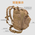危机4 Hazard4海狸吊桥美国危机4战术双肩包军迷户外徒步登山旅行背包 黑色