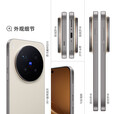 vivo X300 pro 蔡司2亿APO超级长焦 蓝图影像双芯 5年持久流畅OriginOS 6 AI手机 旷野棕 12GB+256GB 官方标配+90天碎屏保