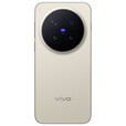 vivo X300 pro 蔡司2亿APO超级长焦 蓝图影像双芯 5年持久流畅OriginOS 6 AI手机 旷野棕 12GB+256GB 官方标配+90天碎屏保