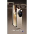vivoX300 Pro 手机 蔡司2亿APO长焦 天玑9500芯片 纯粹黑 16GB+1TB
