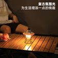 THE STRONG露营灯氛围灯户外多功能充电复古照明设备 复古露营灯-黑色 充电版