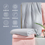 罗莱家纺 LUOLAI夏凉被夏天被子被芯纤维被薄被子空调被单双人可水洗被褥 缅柔抗菌水洗夏被 浅灰色200*230cm