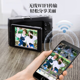 松典DC1012 数码照相机微单卡片机入门级单反傻瓜相机小型家用翻转自拍屏 32G 【送4重礼】 标配