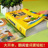 小学生多功能大成语词典 彩图大字版 配小学语文课本成语听写音频 成语故事接龙字典1-6年级工具书大全