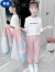迪士尼（Disney）女童休闲运动套装春秋装韩版中大童时髦两件套洋气儿童秋季三件套 粉色两件套 110cm