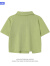 第九衣品（Zhvninth）WUSUOBZ日系小清新短袖女夏季短款简约修身显瘦上衣女 绿色 xl