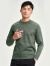 才子（TRIES）男士加绒半高领针织衫秋冬品牌LOGO刺绣纯色厚款保暖套头毛衫衣 绿色 46(165/84A)
