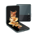 【备件库8成新】三星 SAMSUNG Galaxy Z Flip3 折叠屏 8GB+256GB绿 夏夜森林 20周年纪念款 3C数码酷黑科技限定礼盒