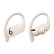Beats Powerbeats Pro 完全无线高性能耳机 真无线蓝牙运动耳机 象牙白