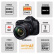 佳能（Canon）EOS 5DMarkIV 5D4（24-105镜头套机）全画幅数码单反照相机（含存储卡+相机包+滤镜）
