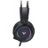 雷柏（Rapoo） VH500C 有线游戏耳机 虚拟7.1声道 有线耳麦 电竞耳机 电脑头戴式耳机 降噪麦克风 黑色