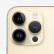 Apple iPhone 14 Pro Max (A2896) 256GB 金色 支持移动联通电信5G 双卡双待手机（AC+2年版）