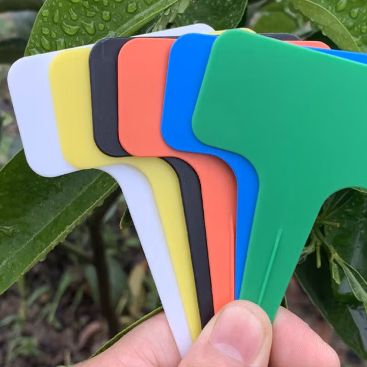 海斯迪克 HKCL-65 加厚园艺花卉标签 植物标签多肉塑料标签 花卉牌园艺标签