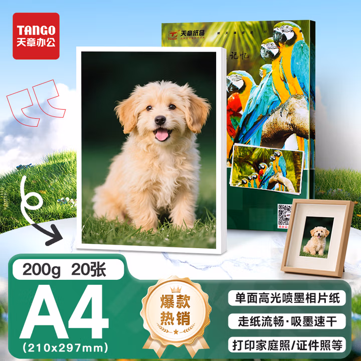 天章 （TANGO）新绿天章 A4相纸200g 高光风景照相片纸 高光泽家庭照相纸 A4喷墨证件照照相片打印纸 20张/包
