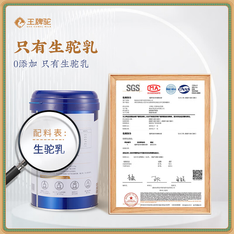 驼奶产业现状:新疆驼奶粉引领健康风潮