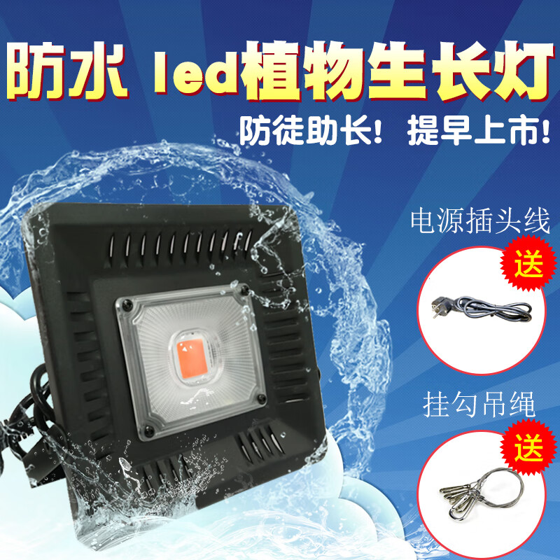 博斯腾湖mk体育官网