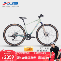 喜德盛（xds）【吴磊推荐】跨界山地车GR500/10速越野速度  碧绿墨 700C*450mm