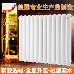 森德森德壁挂暖气片60钢制二柱家用水暖全屋集中供热卧室卫浴5片起拍 LD380-8上进下出白色