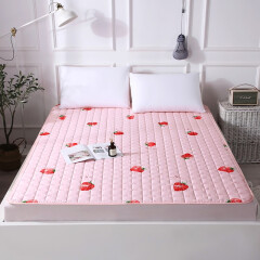 艾晶美 全棉可水洗防滑保护垫被褥榻榻米床褥子可定制 草莓 150cm*200cm