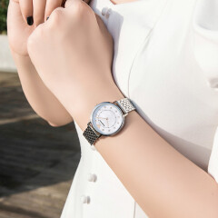 安普里奥·阿玛尼（Emporio Armani）手表女 时尚休闲欧美表简约石英女士腕表 生日礼物送女友 AR2511