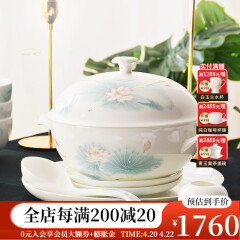 华光陶瓷碗套装 抗菌骨瓷餐具 釉中彩碗碟套装家用中式 春江水暖 春江水暖 46头礼盒装【抗菌瓷】