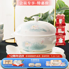华光陶瓷碗套装 抗菌骨瓷餐具 釉中彩碗碟套装家用中式 春江水暖 春江水暖 46头礼盒装【抗菌瓷】
