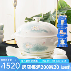 华光陶瓷碗套装 抗菌骨瓷餐具 釉中彩碗碟套装家用中式 春江水暖 春江水暖 46头礼盒装【抗菌瓷】