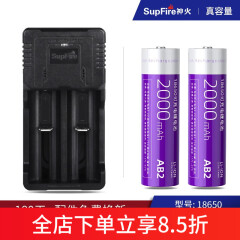 神火（SupFire）18650锂电池可充电大容量3.7V/4.2V强光手电筒头灯收音机原装配件 2节2000毫安电池+双槽充电器