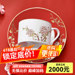 华光国瓷 骨瓷咖啡杯碟套装 故宫宫廷风咖啡杯碟 创意送礼礼盒装 锦色