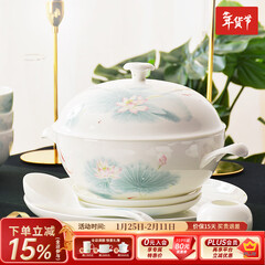 华光陶瓷碗套装 抗菌骨瓷餐具 釉中彩碗碟套装家用中式 春江水暖 春江水暖 46头礼盒装【抗菌瓷】