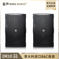 皇声音响（HUANG SHENG）皇声KingAudio/ DR10音箱 卡拉OK包房清吧KTV酒吧10英寸音箱一对 DR10音箱