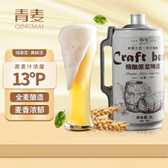 青麦（QINGMAI）精酿原浆啤酒 全麦酿造 扎啤2L桶装啤酒 青岛特产 2000mL 1桶 13°P艾尔白啤