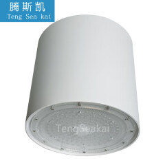 腾斯凯（TengSeaKai） 穹顶吊装LED射灯80W100瓦60度90度机场大厅明装筒灯罩棚 60W筒灯 暖白2700K-3000K