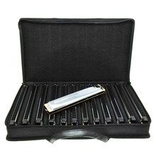 通宝TOMBO 日本零部件HOPE SUPER 24孔高级演奏复音口琴6624S套装12调8调可选 8调装-送TOMBO牌包