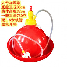 养鸭鹅鸡家禽用自动饮水器喂水器加水壶养鸡养殖设备鸡用品 中大鸡加厚红顶350克