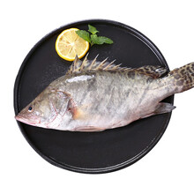 御鲜之王 桂鱼鲜活淡水鱼鳜鱼水产鳌花鱼季花鱼 活鱼约750g/条 现杀(净膛)