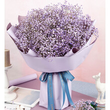 满天星天然干花花束大束大送女朋友闺蜜老婆生日礼物品同城配送 只因有你 浅紫色满天星