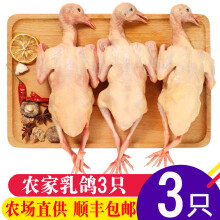 新鲜乳鸽 生鲜鸽子肉 农家土鸽冷冻煲汤烧烤三年老鸽子 乳鸽3只装(单只300g)