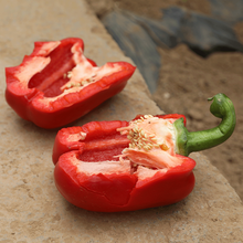 寿禾 彩椒种子灯笼椒青椒红黄紫白菜椒甜椒苗辣椒苗方椒冬季春季播种蔬菜苗种苗寿光菜种籽菜籽 赛尔娜F1(红)甜椒苗 18棵