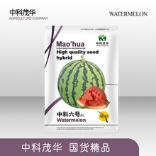 中科茂华西瓜种子组合冰糖麒麟早佳8424超甜京欣16度冰麒麟西瓜种籽懒汉神龙至尊宝西农八号甜王类型 中科六号50粒/袋【超越美都】