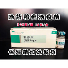 哈药鸭瘟活疫苗 鸭必应500羽/瓶 10瓶/盒 兽用 5盒价